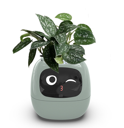 Smart AI Planter with 7 Sensors – Self-Monitoring Plant Pot with Display