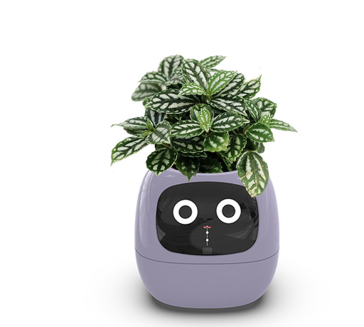 Smart AI Planter with 7 Sensors – Self-Monitoring Plant Pot with Display