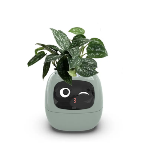 Smart AI Planter with 7 Sensors – Self-Monitoring Plant Pot with Display